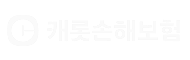 캐롯손해보험