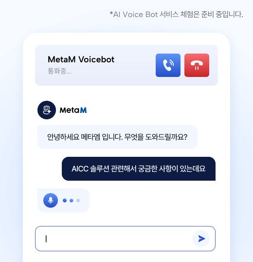 MetaM Voice Bot